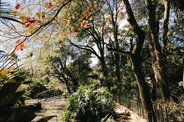 Casamentos